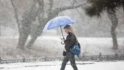 РИА Новости, фото - Новости Zakon.kz от 24.01.2019 16:36