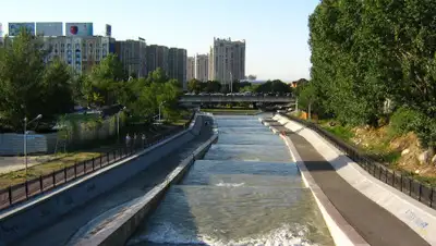 wikimedia, фото - Новости Zakon.kz от 16.08.2020 14:44