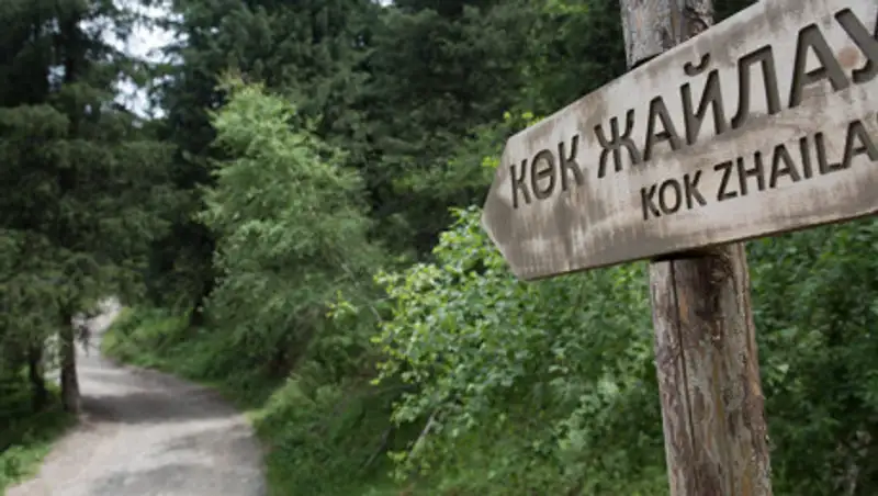 Урочище Кок-Жайляу намерены вернуть в состав Иле-Алатауского нацпарка