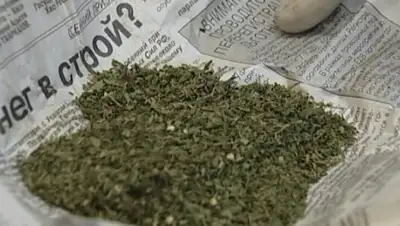 Zakon.kz, фото - Новости Zakon.kz от 01.04.2015 21:08