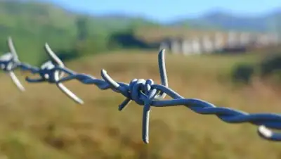 pxhere.com, фото - Новости Zakon.kz от 28.01.2019 14:36