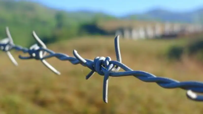 Таджикистан и Узбекистан готовы к переговорам по демаркации границы