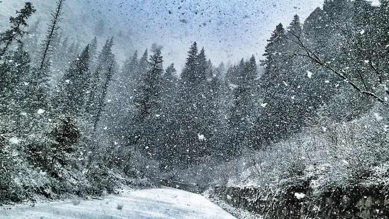 Сильный снег ожидается в Казахстане