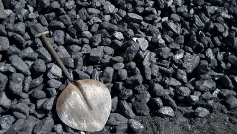 Общественники ВКО недовольны качеством угля