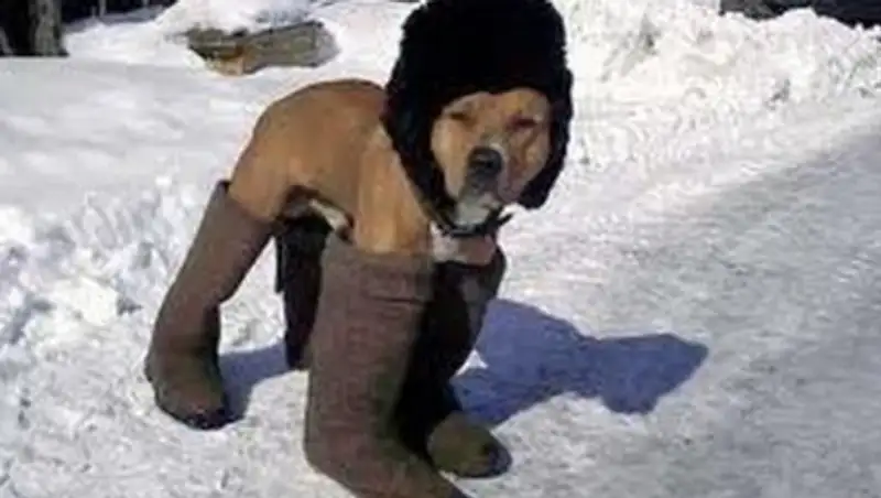 В Казахстан придут "сибирские морозы"