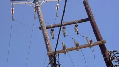 Zakon.kz, фото - Новости Zakon.kz от 21.11.2017 11:39