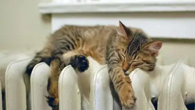 Радио 7, фото - Новости Zakon.kz от 24.04.2018 18:00