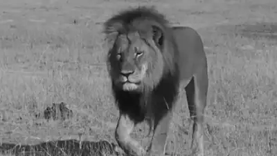 Zakon.kz, фото - Новости Zakon.kz от 30.07.2015 12:20