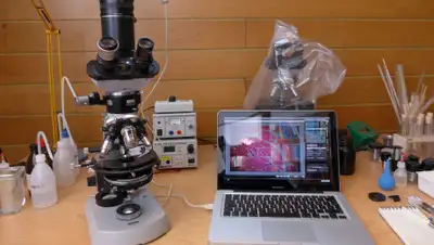 pxhere.com, фото - Новости Zakon.kz от 03.04.2020 00:39