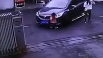 Zakon.kz, фото - Новости Zakon.kz от 21.11.2017 14:52