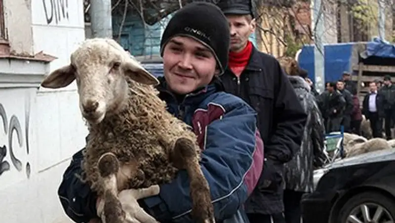 В Литве решили узаконить ритуальный забой скота