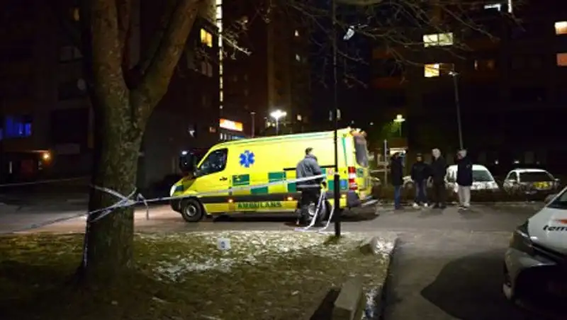 В Швеции взорвался автомобиль