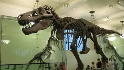 Фото: © РИА Новости / Лариса Саенко, фото - Новости Zakon.kz от 12.12.2017 06:39