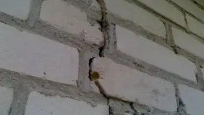 h3.googleusercontent.com, фото - Новости Zakon.kz от 30.01.2021 13:54