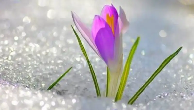 Прогноз погоды на 4 марта по Казахстану