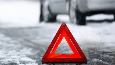 Нократ, фото - Новости Zakon.kz от 19.02.2018 11:32