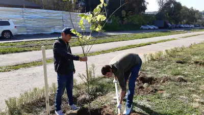 жильцы дома на Гагарина 111, фото - Новости Zakon.kz от 17.10.2019 16:22
