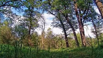 Zakon.kz, фото - Новости Zakon.kz от 09.01.2014 18:23