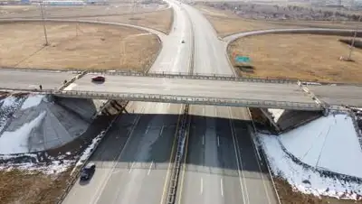 МИИР РК, фото - Новости Zakon.kz от 02.11.2020 11:22