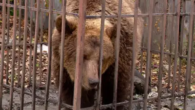 PenzaInform, фото - Новости Zakon.kz от 02.09.2020 23:57