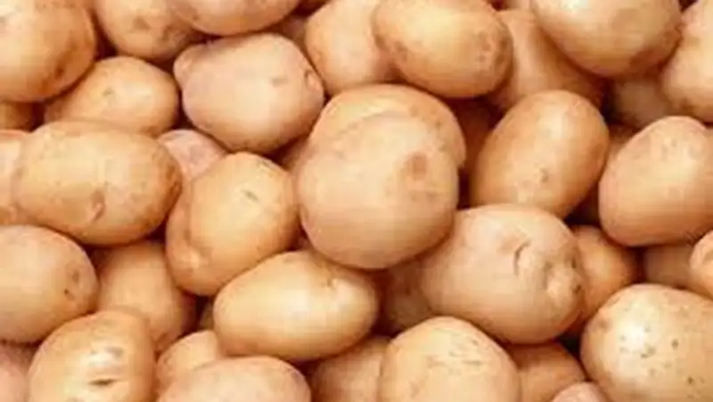 В Костанайской области в этом году овощи дороже, чем в 2013