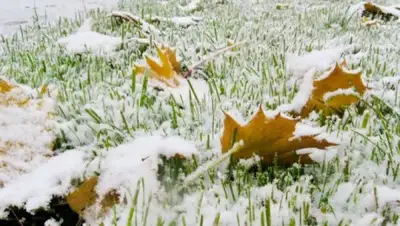Zakon.kz, фото - Новости Zakon.kz от 09.10.2016 21:58