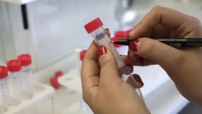 novosti-n.org, фото - Новости Zakon.kz от 19.02.2018 12:47