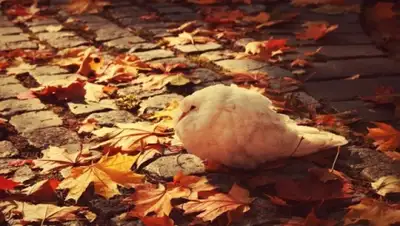 Zakon.kz, фото - Новости Zakon.kz от 14.09.2015 23:00