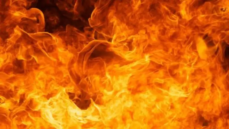 В Павлодарской области произошел пожар на крупном овощехранилище