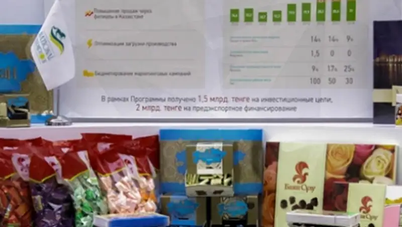 Главе государства презентовали семь компаний-лидеров программы «Национальные чемпионы»