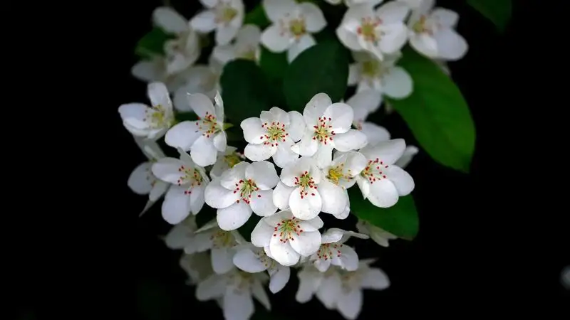 Субботний гороскоп для представителей всех знаков зодиака