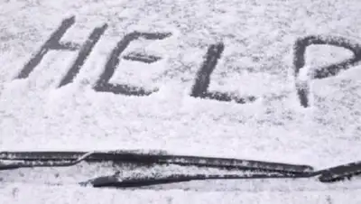 prosedan.ru, фото - Новости Zakon.kz от 16.02.2021 20:36