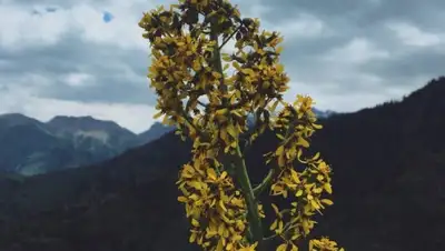 Instagram/ksvn01, фото - Новости Zakon.kz от 29.05.2020 14:10