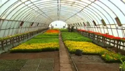 Zakon.kz, фото - Новости Zakon.kz от 05.05.2014 16:01