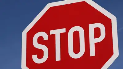 13 тонн насвая пытался ввезти кыргызстанец из Убекистана, фото - Новости Zakon.kz от 31.01.2023 05:25