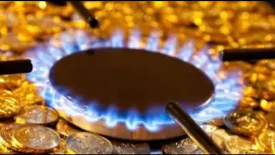 Zakon.kz, фото - Новости Zakon.kz от 14.12.2014 01:27