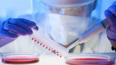 Zakon.kz, фото - Новости Zakon.kz от 09.02.2016 19:36