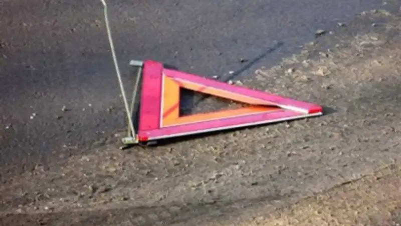 Полиция Алматы разыскивает водителя, который сбил пешехода и скрылся с места ДТП