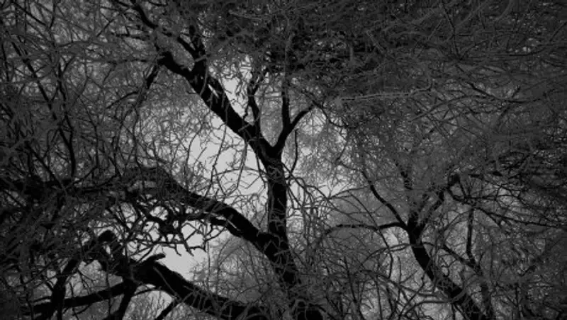 На выходных погода ожидается преимущественно пасмурная - синоптики