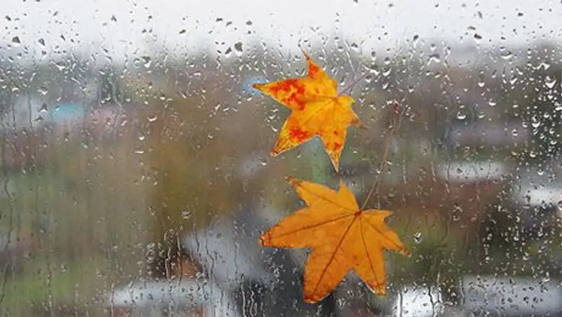 Дождливая погода сохраняется по всей территории Казахстана