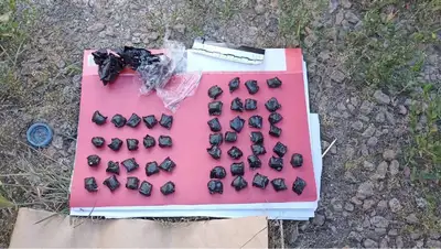 Школьник задержан в Кокшетау по подозрению в закладке «синтетики», фото - Новости Zakon.kz от 08.08.2022 19:03