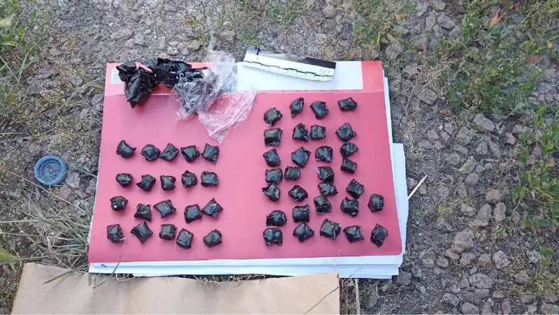 Школьник задержан в Кокшетау по подозрению в закладке «синтетики»