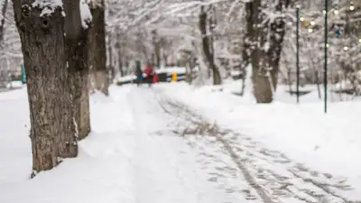 Снег в Алматы: как коммунальщики очищают город, фото - Новости Zakon.kz от 31.01.2024 09:34