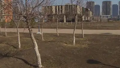 24kz, фото - Новости Zakon.kz от 24.04.2021 08:10