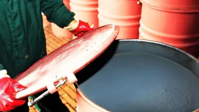 Zakon.kz, фото - Новости Zakon.kz от 08.06.2015 22:52