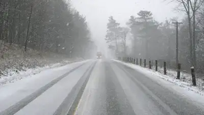 pixabay.com, фото - Новости Zakon.kz от 13.11.2021 01:02