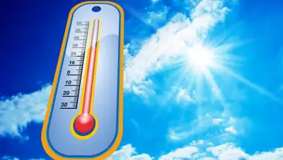 МариМедиа, фото - Новости Zakon.kz от 19.07.2019 09:32