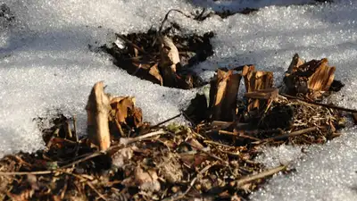 Неустойчивый характер погоды ожидается в Казахстане 7-9 марта, фото - Новости Zakon.kz от 06.03.2023 16:25