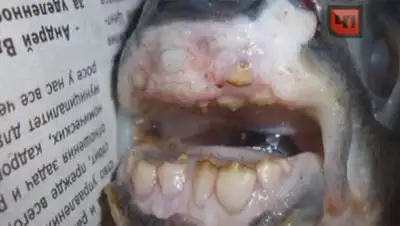 Zakon.kz, фото - Новости Zakon.kz от 29.09.2014 21:22