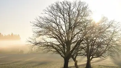 весна, фото - Новости Zakon.kz от 13.03.2023 18:32